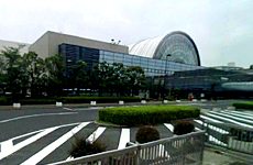 CebNX